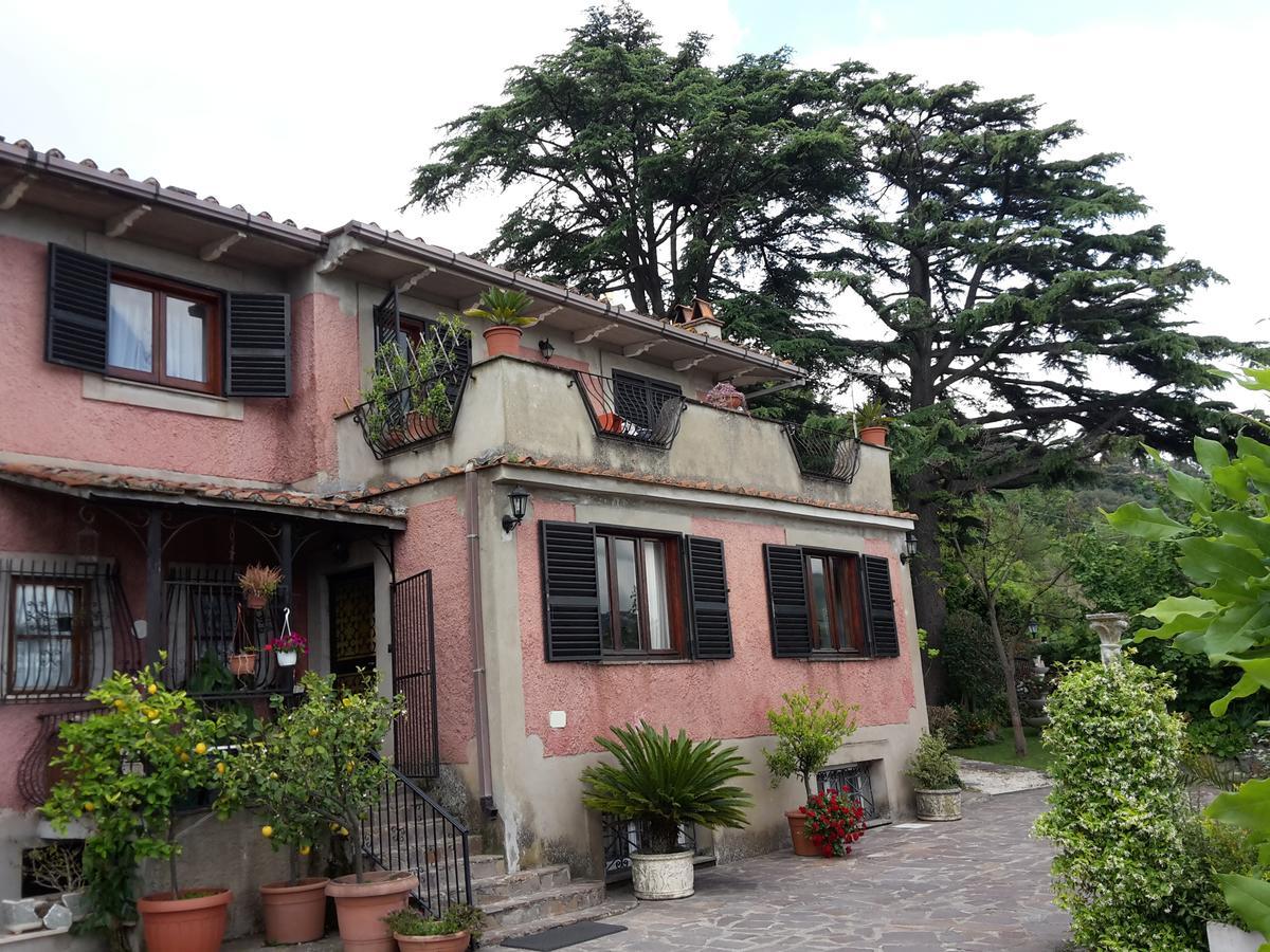 Bed&Breakfast "Fiorella" Sul Lago Castel Gandolfo Exterior photo